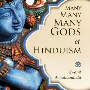 Relianz Hindu History 1st Edition Kindle eBook-0