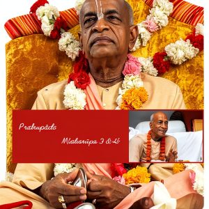 Hindu History Kindle eBook by Amazon - 542 Pages English 2.8 MB-0