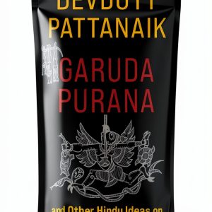 Hindu Rituals & Practice Kindle eBook by Westland – 277‑Page Guide-0